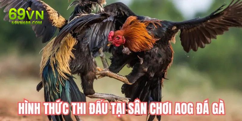 4 cực phẩm chất hơn nước cất tại AOG